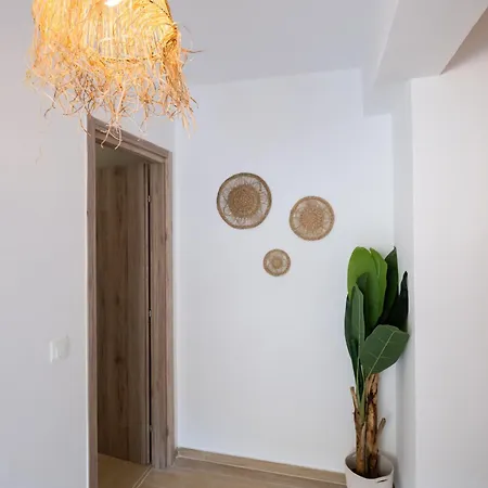 Baron ואסיליקי